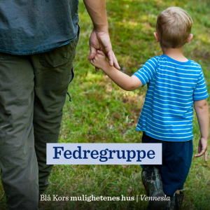 Fedregruppe